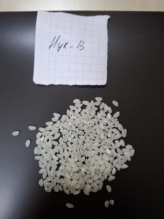 Оптом Рис с Доставкой Бесплатно