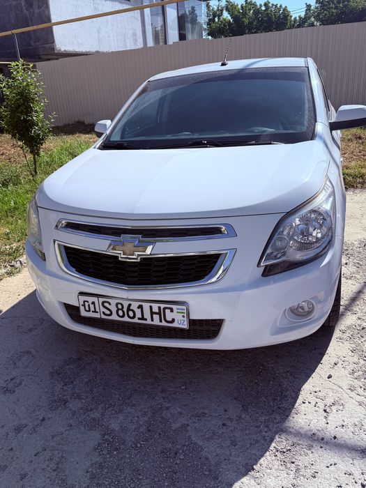 Other Cobalt 2019