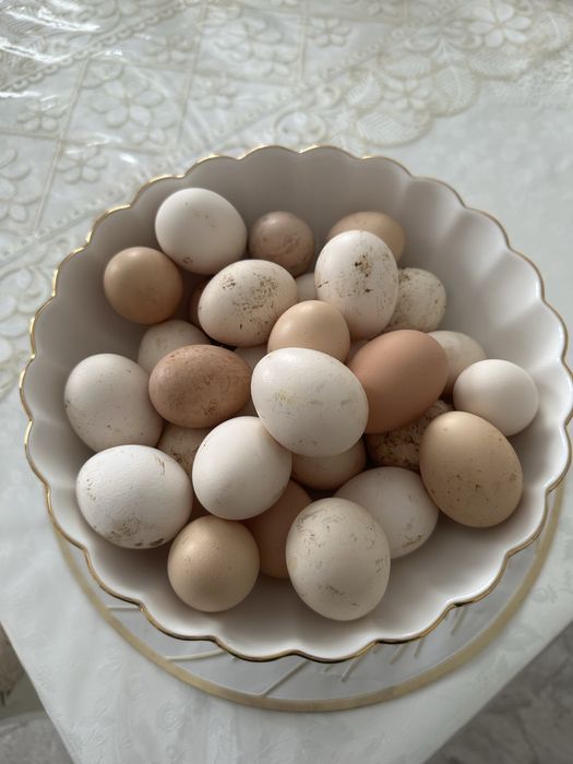 Свежие домашние яйца