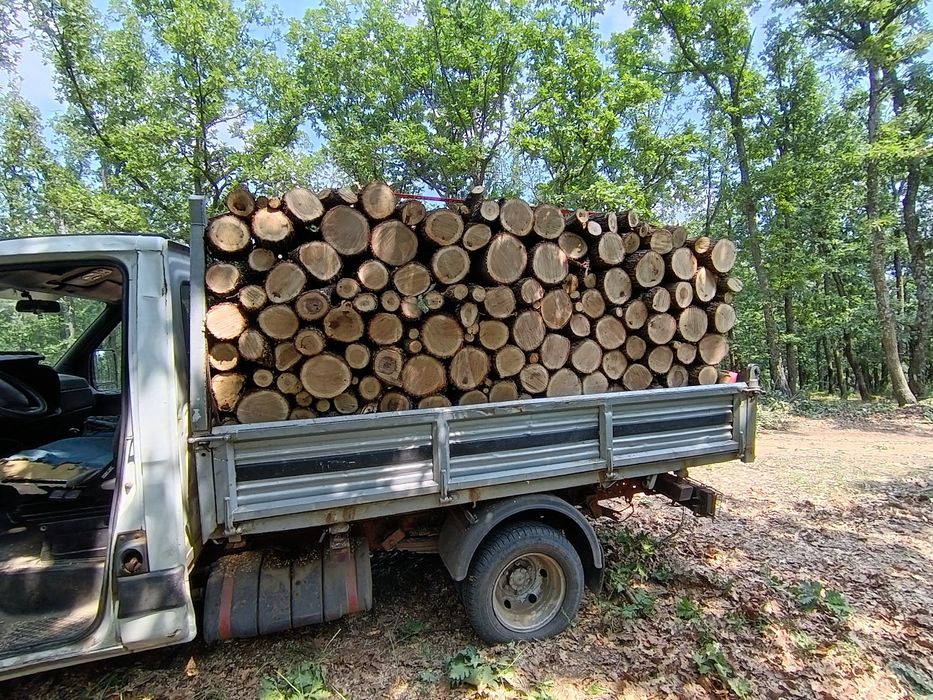 lemne de foc stejar