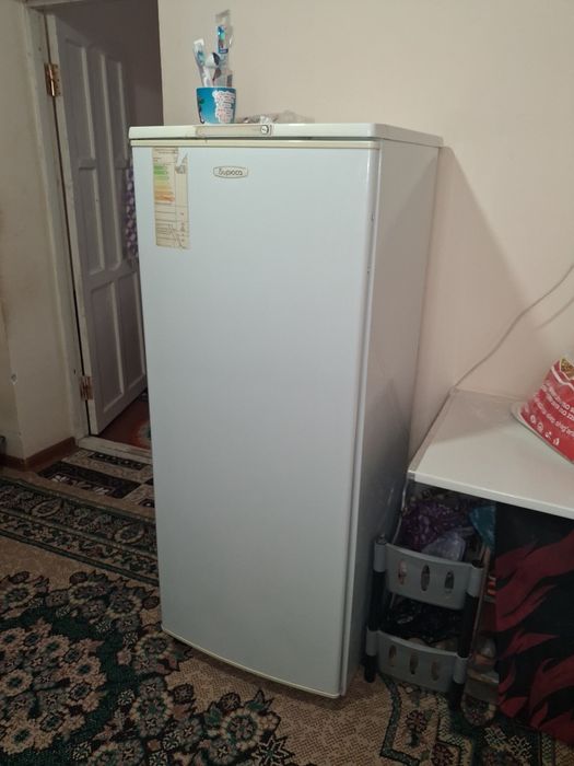 Холодилник бирюса