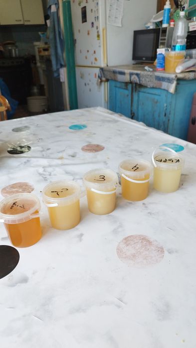 Мед цветочный натуральный