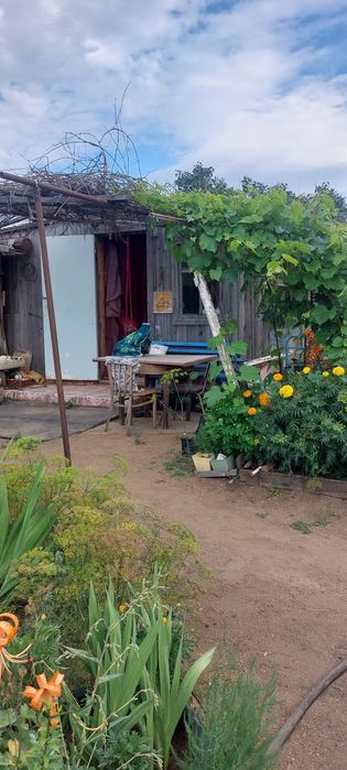 Продам дачу в обществе Союз