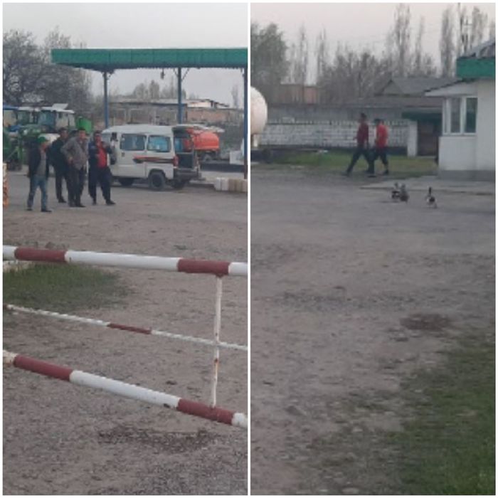 Заправка Туй тепа 26 соток