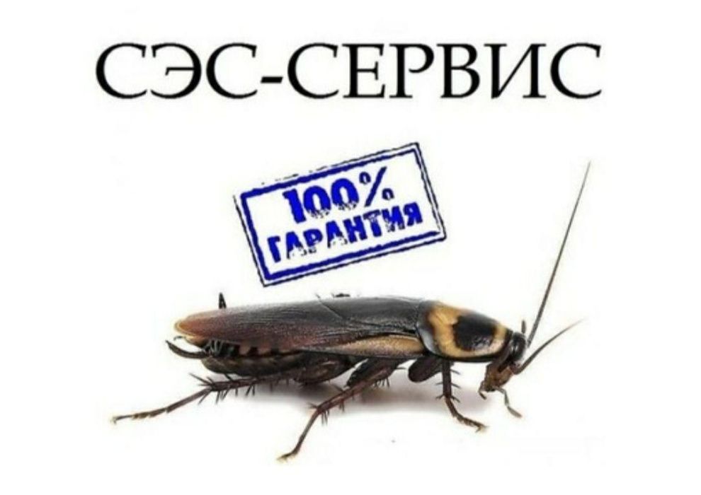 ДЕЗИНФЕКЦИЯ! от клопов и тараканов ! Гарантия 100%