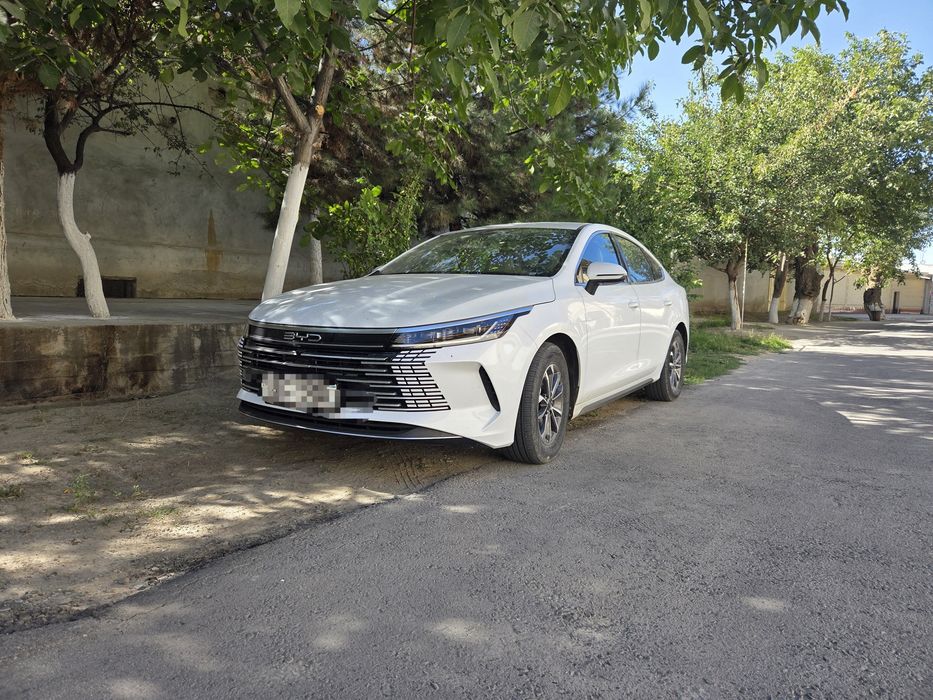 Byd chazor active  55km.