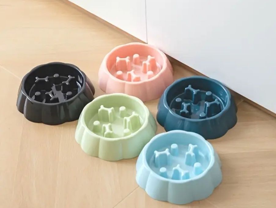 Новая миска для собак
пита