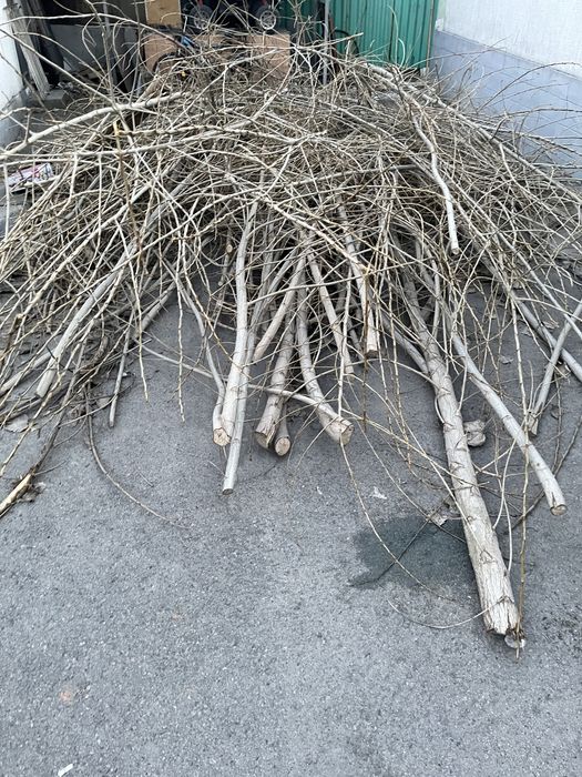 ДАРОМ отдам дрова для бани