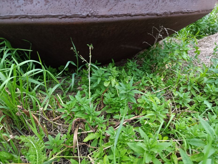 Продам чан  влазит газон зерна