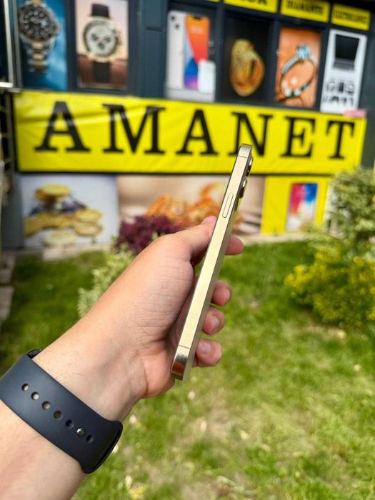 iPhone 12 Pro Max / 256GB / Gold - Impecabil
