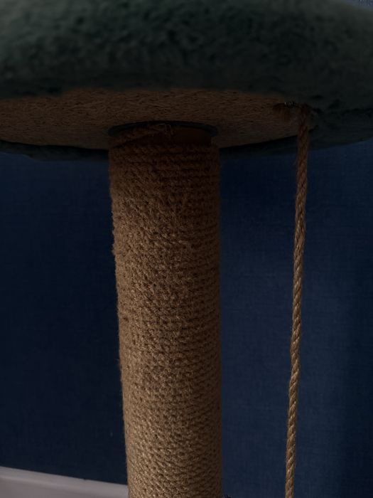 Когтеточка для кошек