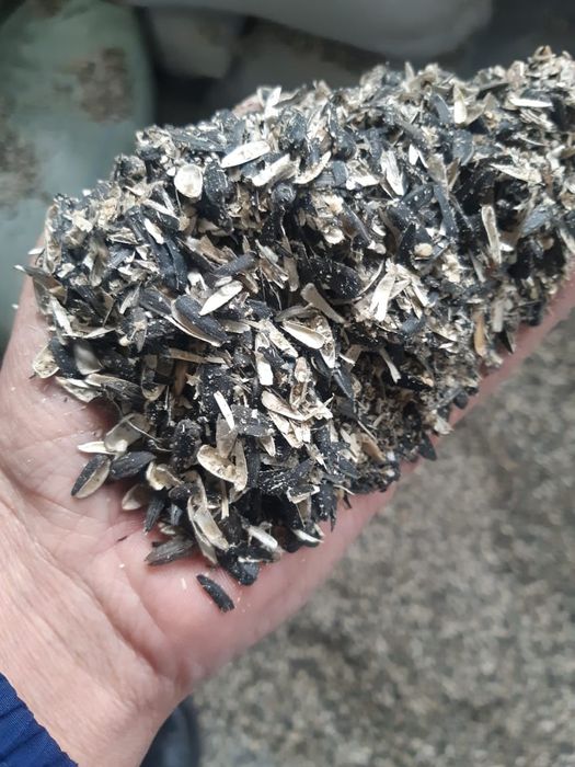 Лузга, жмых, масло кормовое (чернуха)