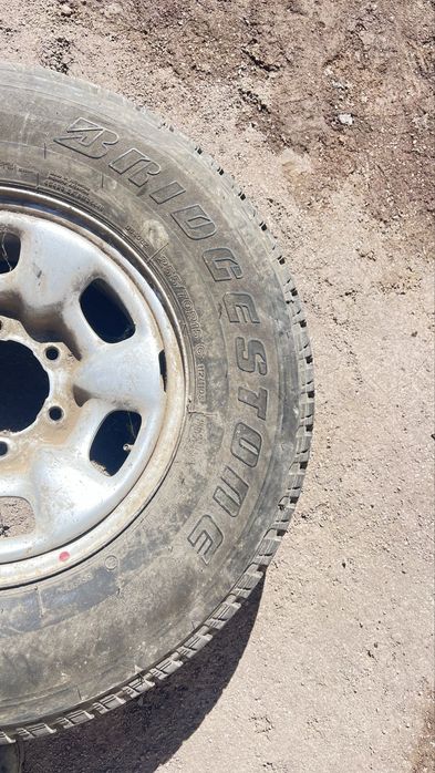 Шина на диске продам