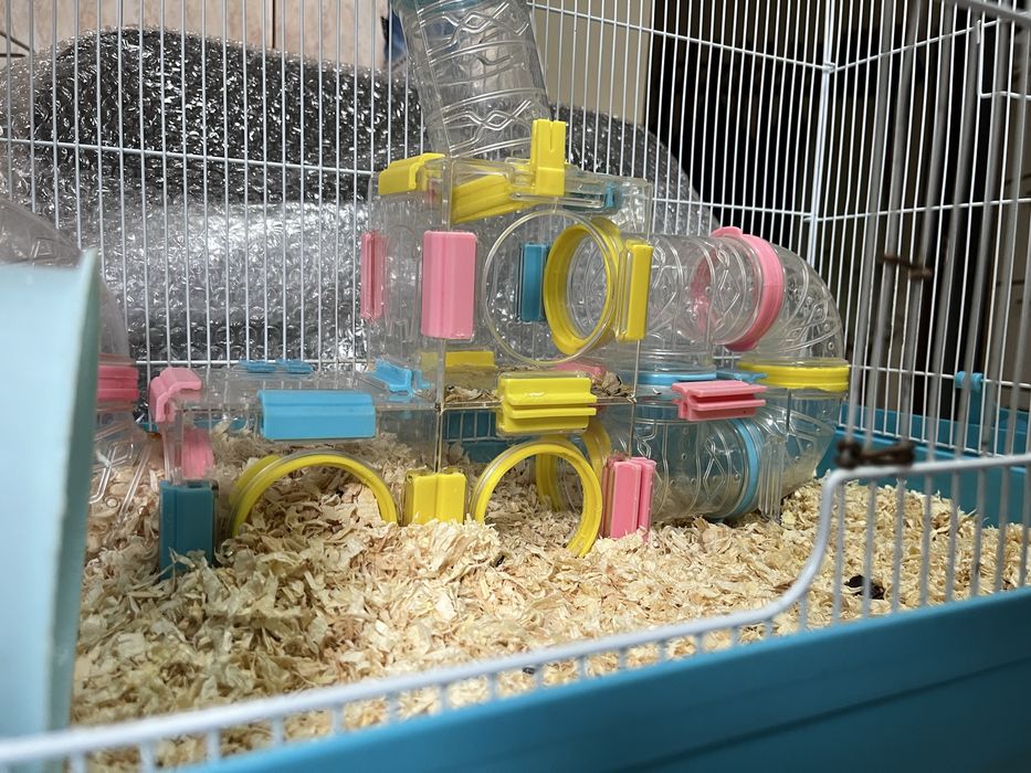 Cușcă pentru hamster