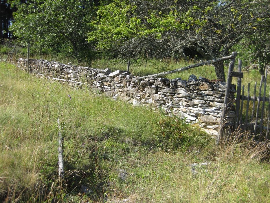 Продава се Парцел в Пловдив, Кючук Париж - 300 кв.м за 42 €/кв.м - Снимка #3