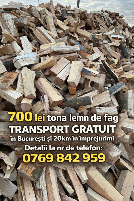 Lemn de fag taiate , sparte