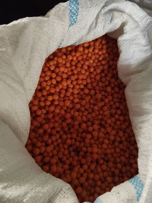 Vând cătina congelată en-gros