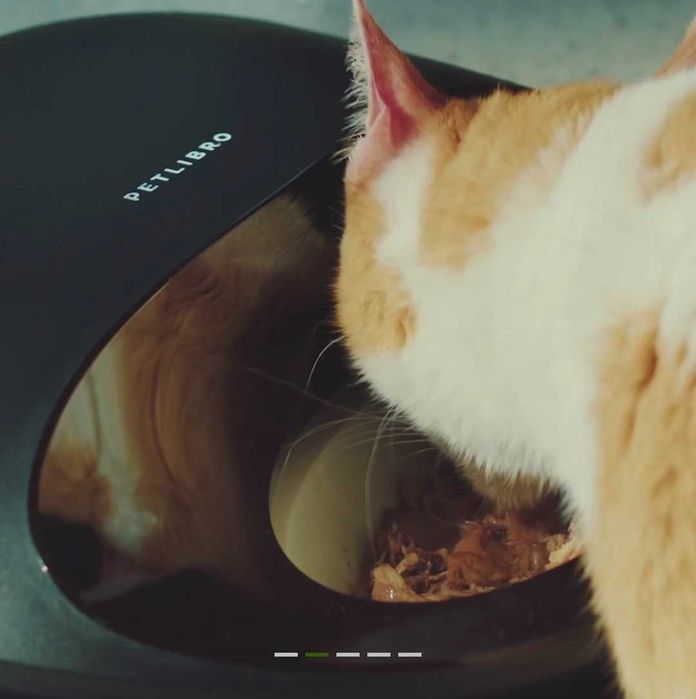 Recipient automat hranire pisici/caței. Temperatura controlata