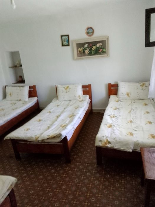 Продава се Къща в с. Сини връх, Област Пловдив - 4000 кв.м за 32 €/кв.м - Снимка #11