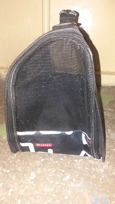 Переноска для кошек собак и др. домаш. животных Сумка Доставка