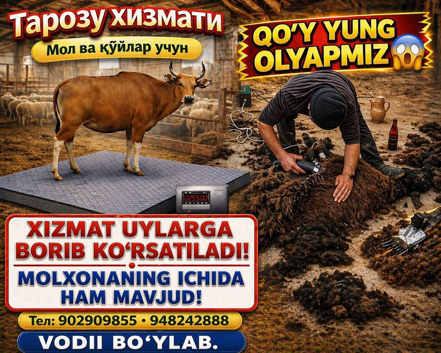 Торозу.Ва Жүн олиш. Мол ва куйлар учун