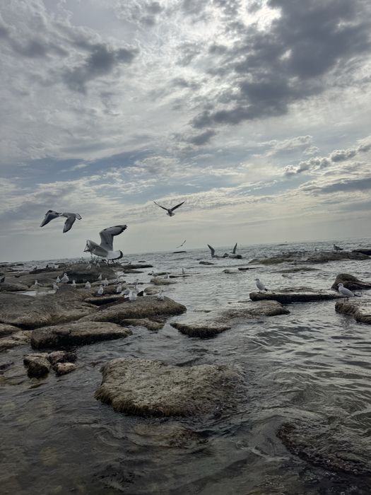 Продается 2х ком квартира