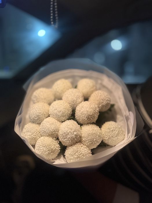 Цветы Аппон Белый Хризентема