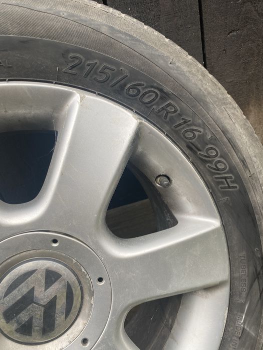 Jenti pentru w pasat  pe 16