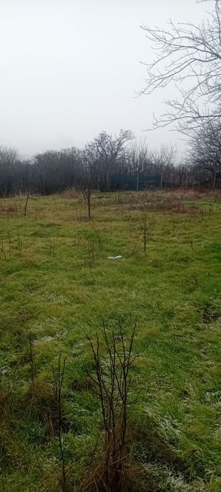 Продава се Къща в с. Златар, Област Шумен - 80 кв.м за 255 €/кв.м - Снимка #5