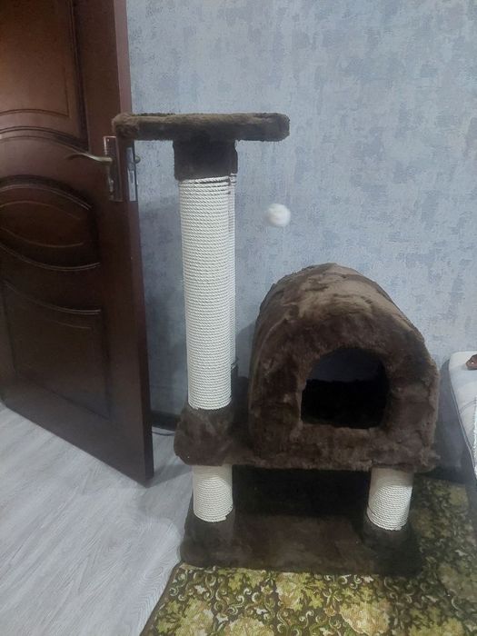 Многоэтажный дом для кошек