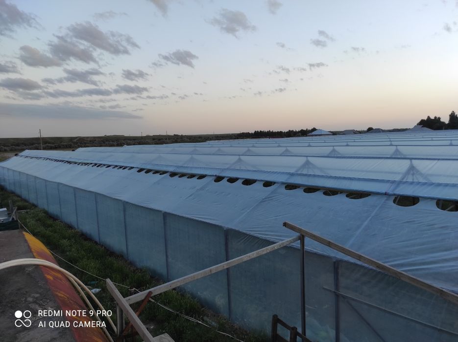 Жылыжай (теплица парник)