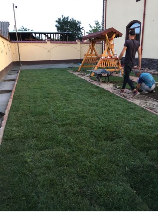 Gazon Rulou / Spatii Verzi