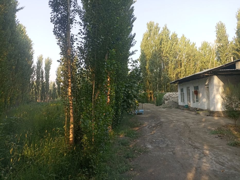 Чорва ферма сотилади 40 сотих