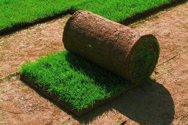 Газон-автополив озиление