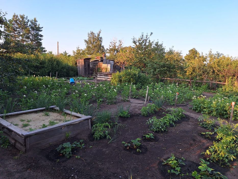 Продам дачу,  Затобольск автомобилист 26 Улица