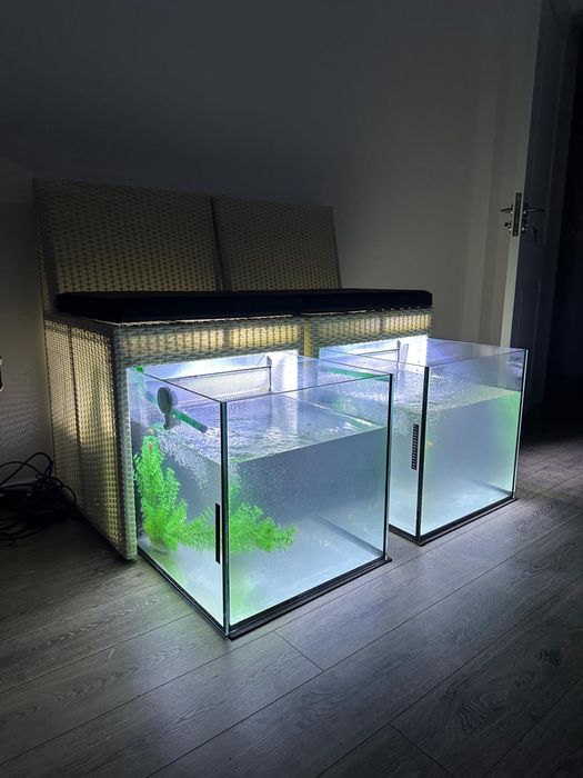 Acvarii speciale pentru pedichiura spa