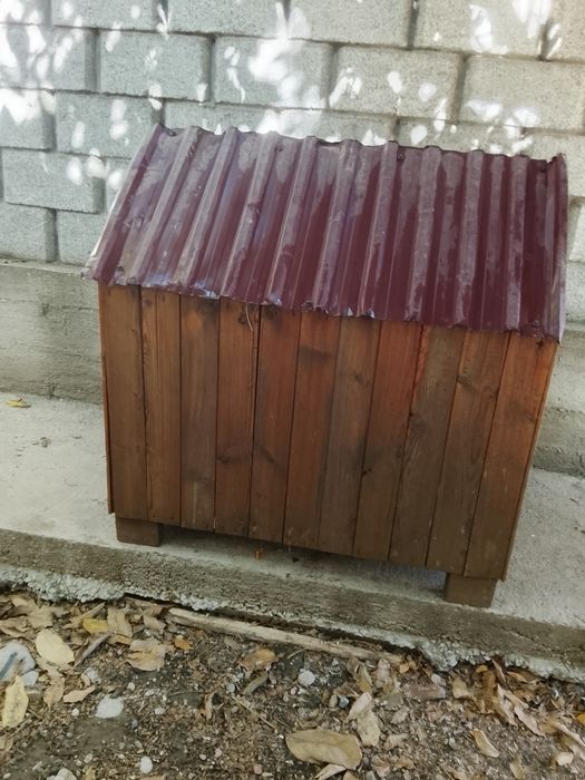Иттің ұясы сатылады.