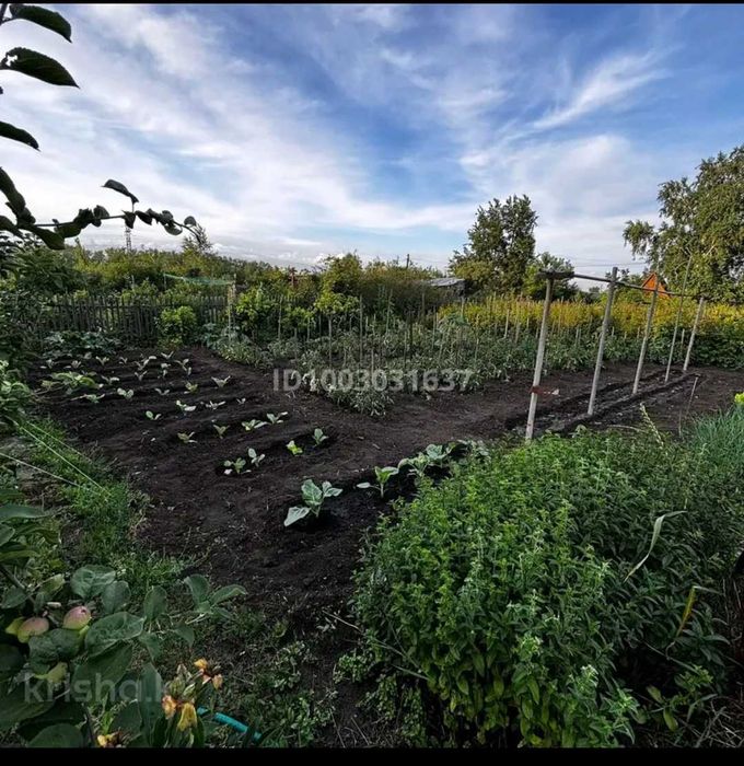 Продам дачу 10 соток