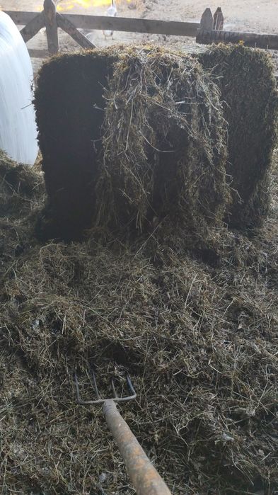 Baloti luțernă 120 pe 120