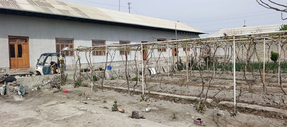 Yandi dôkon mfy, beklar yônalishida 10s