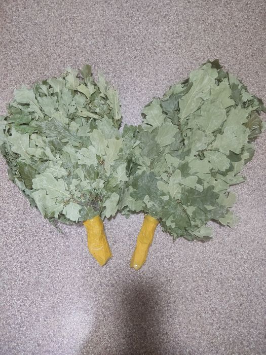 Дубовые веники для бани.