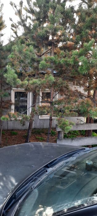 Продам 2 смежных участка