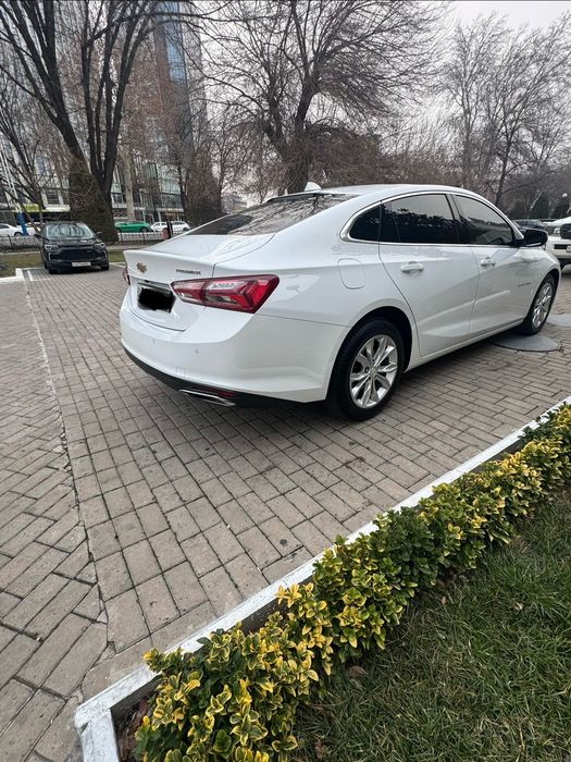 Продается Malibu primer