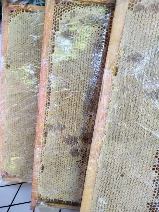 Сотовый мёд со своей пасики