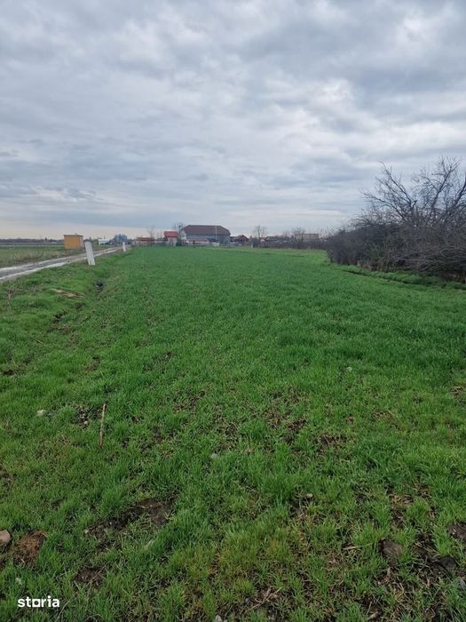 Teren Fundulea 1000 mp | 25 min Bucuresti | Deschidere 55m