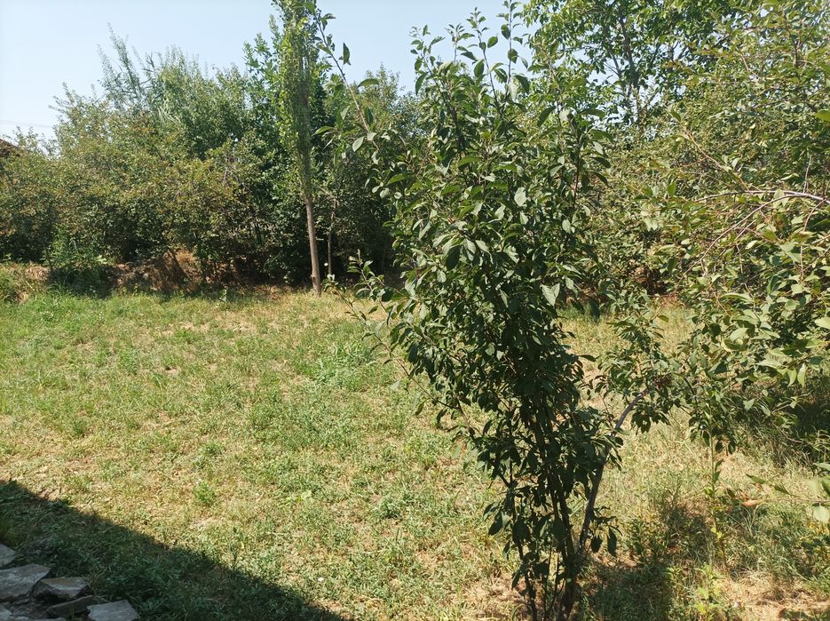 Продаются срочно дом