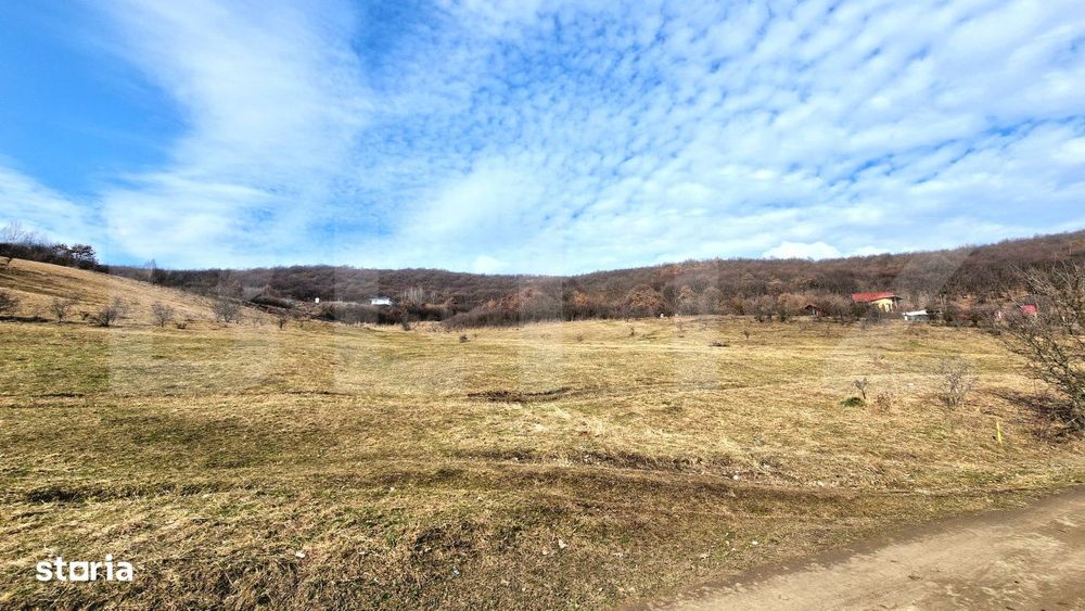 Teren intravilan 4100 mp in Floresti | Parcelabil | Zona de padure