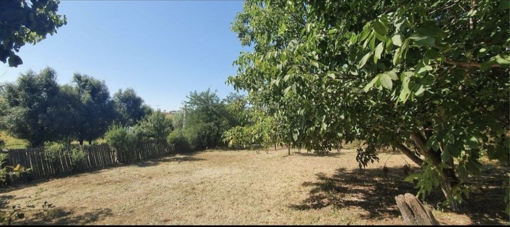 Casa Verbita+Livada de Pruni