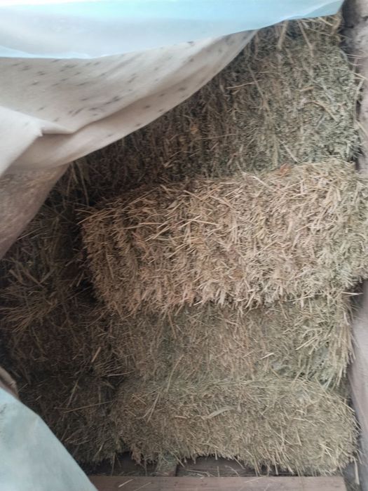 Беда прес 3-орим