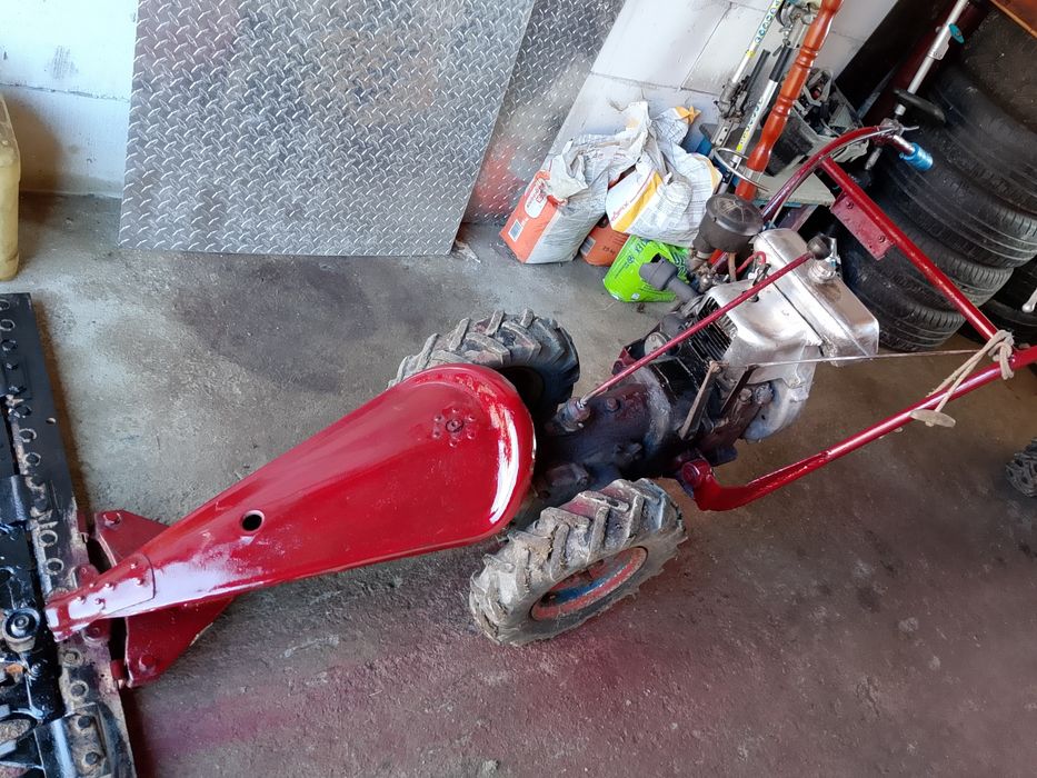 Cositoare carpatina de vânzare